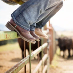 Ariat Women's Fatbaby Heritage Dapper Ryl Western Boot -Apparel and Gear Shop 45 10016238 5