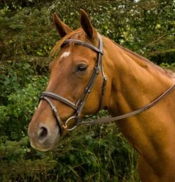Henri De Rivel Pro Mono Crown Bridle With Flash And Rubber Reins